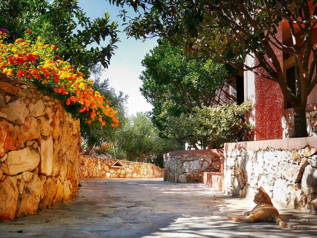 Areti Aparthotel Chania  ภายนอก รูปภาพ